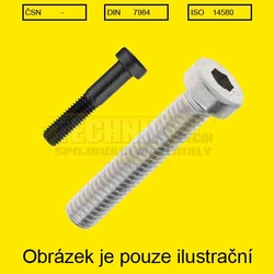 Imbus 10x35  Zn          Din 7984  8.8 nízká hlava